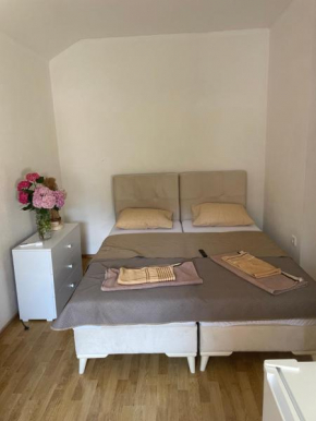 Apartman Grujicic 1